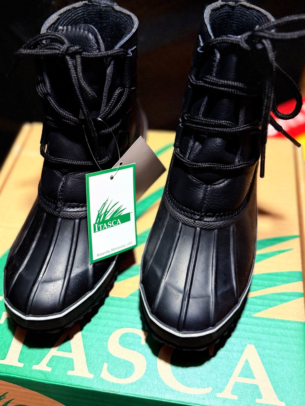Itasca Women's Black Lace-Up Waterproof Winter Boots